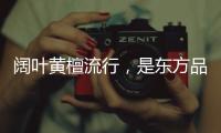 阔叶黄檀流行
，是东方品质生活的回归