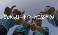 快排公司十年历程，霸屏兔 seo 的崛起与坚守