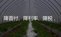 快排公司十年历程，霸屏兔 seo 的崛起与坚守