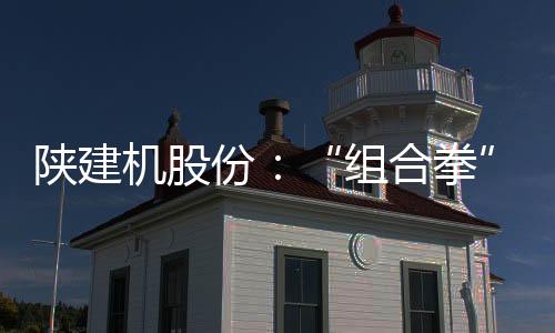 海外市场深耕运营取得新突破