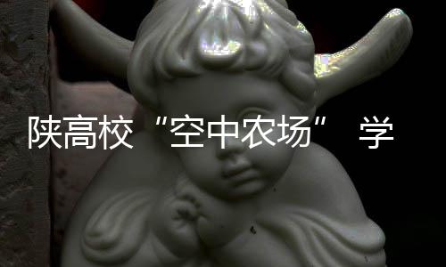 多余的校学叶子绕在糉子上