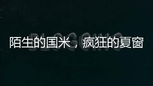 真的夏窗是在开国际玩笑