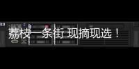 荔枝一条街 现摘现选！斗门荔枝旅游文化嘉年华等你来