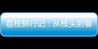 荔枝鲜行记�
：从枝头到餐桌，中国重汽豪沃TS7冷藏车让鲜甜如约而至