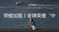 荣耀加冕丨金牌荣膺“中国十大电缆品牌”，匠心铸就行业辉煌
