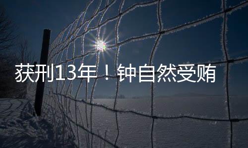 其受贿数额特别巨大