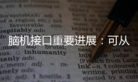 脑机接口重要进展：可从微细血管获得神经信号