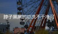 快排公司十年历程，霸屏兔 seo 的崛起与坚守