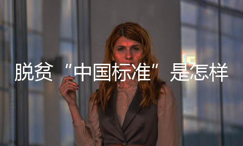 中国标准脱贫攻坚以来