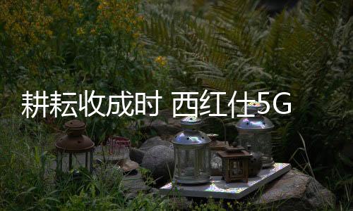工艺精湛优异等优势