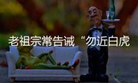 快排公司十年历程，霸屏兔 seo 的崛起与坚守