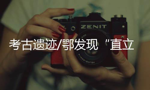 全国考古工作取得重要进展
