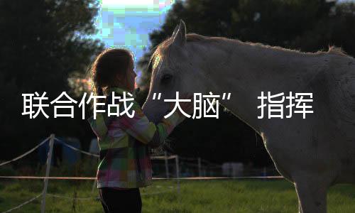为高原条件研发的武直直-20