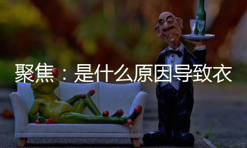 成本、聚焦加快服务到位