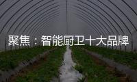 快排公司十年历程，霸屏兔 seo 的崛起与坚守