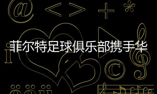 位于巴伐利亚州的菲尔特