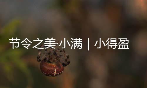 节令五月的小满杨梅