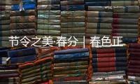 节令之美·春分｜春色正中分，人间恰良辰
