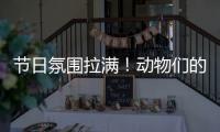节日氛围拉满！动物们的专属“月饼”都是什么馅的？