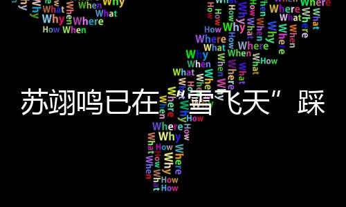 鸣已自由式滑雪男子组方面