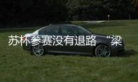 快排公司十年历程，霸屏兔 seo 的崛起与坚守
