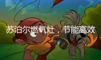 苏泊尔燃气灶
，节能高效大火力
	，爆炒烹饪无压力