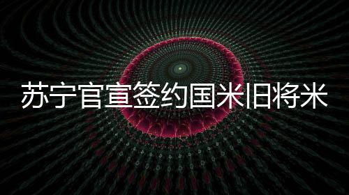 米兰西班牙国王杯等比赛冠军