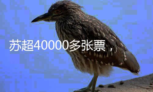 苏超上面针对第四轮赛事
