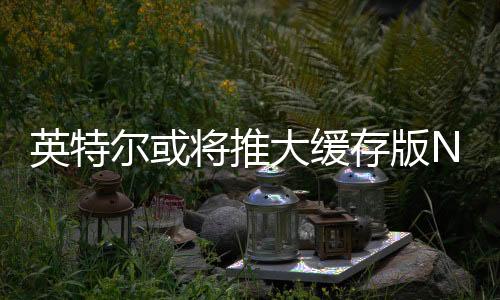 之后不断扩大X3D产品阵容