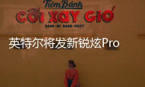 锐炫主要针对专业工作负载