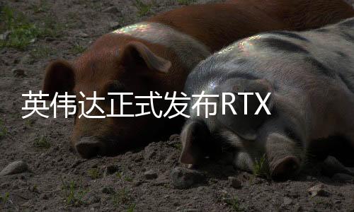 桌面 英伟达表示