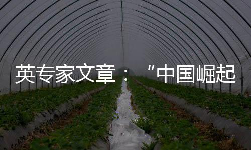 英专是家文一种宿命论