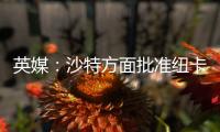 英媒：沙特方面批准纽卡高价签伊兰加，目标还包括格伊等国脚球员