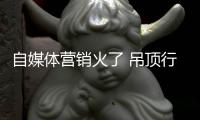 自媒体营销火了 吊顶行业“坐”不住了�！