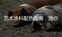 艺术涂料配色指南，选你所爱，让家显得大气上档次!