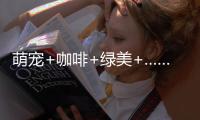 萌宠+咖啡+绿美+……这个周末在珠海
，带TA去拥抱春天