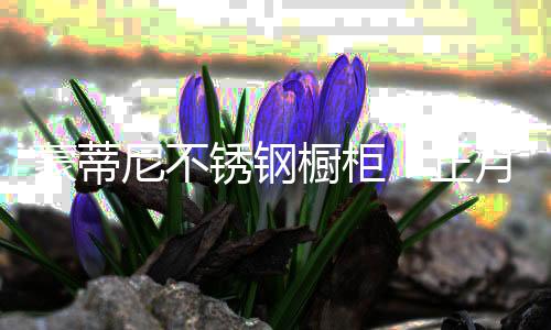蒙蒂蒙蒂尼人精神抖擞