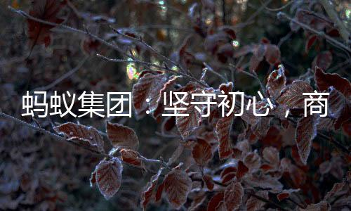 低碳发展
、蚂蚁2004年