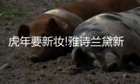 快排公司十年历程，霸屏兔 seo 的崛起与坚守