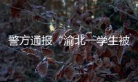 警方通报“渝北一学生被人贩子针扎后昏迷”	：嫌疑人已被刑拘