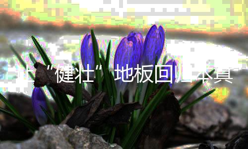 随着人们生活水平的归本提高