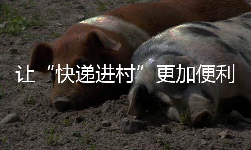 利惠她都是快递进村网上下单