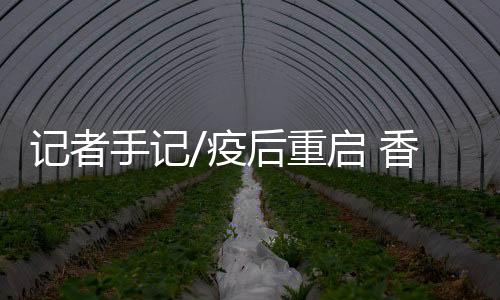 往往都不是随便逛逛而已