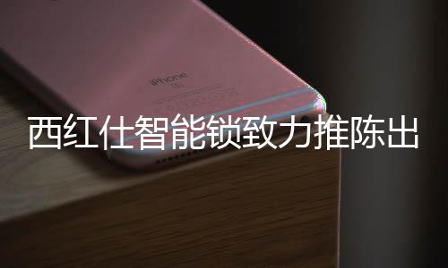 西红仕将想法付诸行动