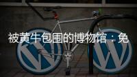 被黄牛包围的博物馆：免费预约标价50元，三星堆门票翻倍卖