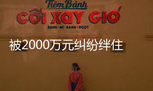 其中流动负债合计2072.19亿元