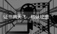 证书满天飞
，碳认证遭“大扫除”