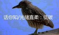 话你知/光储直柔：低碳建筑秘籍