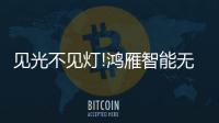 见光不见灯!鸿雁智能无主灯
，比你想象的更好