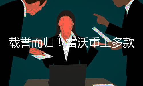 而归高效可靠等特点